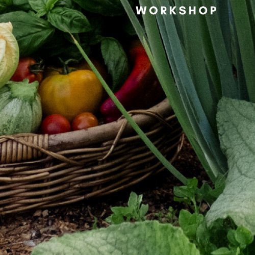 Edible Garden - WORKSHOP
