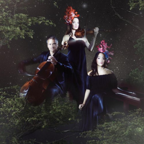 Interfusions - NZ Trio