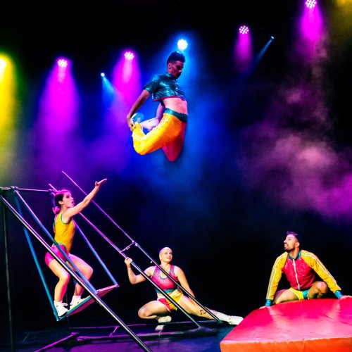 WERK IT Circus Trick Tease